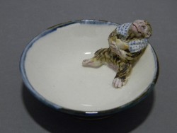 DSCN5198