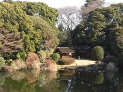 庭園