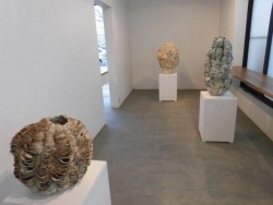 山口美音 会場風景