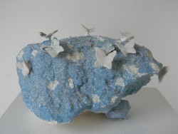 DSCN6767