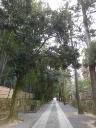 大徳寺