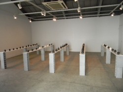 DSCN8064