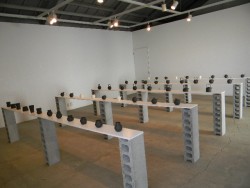 DSCN8070