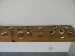 DSCN8263