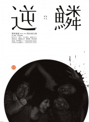 逆鱗 チラシ