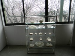 米山より子展「ほどくかたち」Plasticity