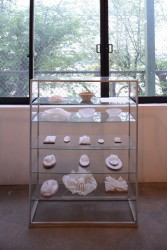 米山より子展 撮影 ito tetsuo