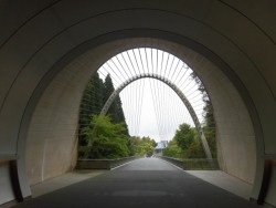 CIMG6043