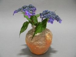 蹲 山紫陽花