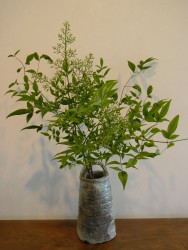 伊賀花入 南天