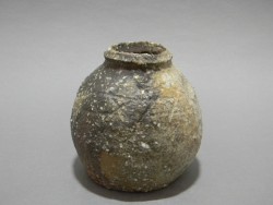 DSCN1106