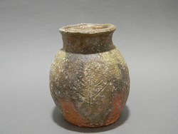 DSCN1554