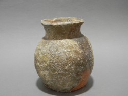 DSCN1557
