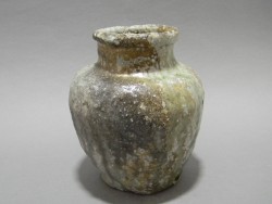 DSCN1574