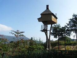 高過庵