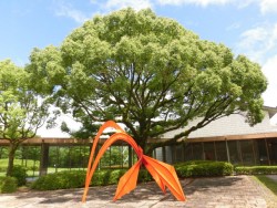 滋賀県立近代美術館 