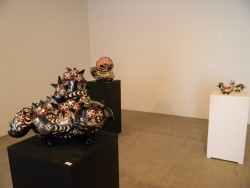 DSCN1038