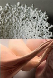 際遭 アジアで結ぶ作陶二人展