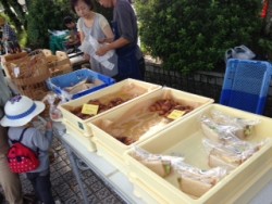 犬山朝市