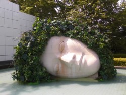 彫刻の森美術館 