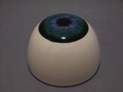 目玉ぐいのみ3 Ｔhird eye