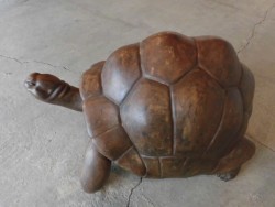 横田千明展