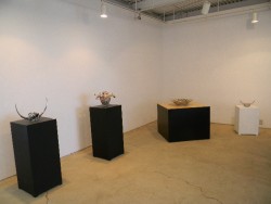 DSCN2193