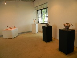 DSCN2197