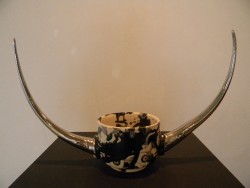 DSCN2236