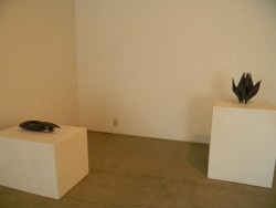 DSCN2326