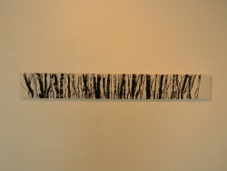 DSCN2363