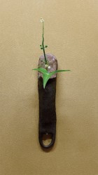 伊藤 慶二 茶陶展  ー自在ー 