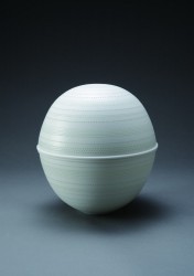 新里明士 光蓋器