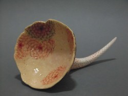 cimg8116