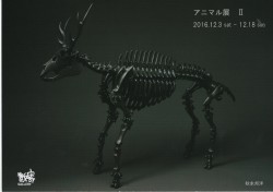 アニマル展Ⅱ DM表紙