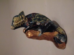 牟田陽日 chameleon