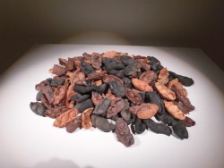 市野雅彦作品
