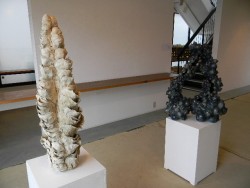 dscn3174